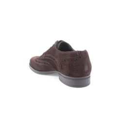 Sapato PELFLEX